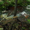 Hiking up hill back to the scenic highway.   One of the WV best trails.