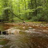 Bring your fly-rod.  The brookie fishing along the Middle-Fork is VERY good.