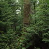 Keep an eye out for Rock Cairns at trail intersections,  most of the signs are not so obvious.