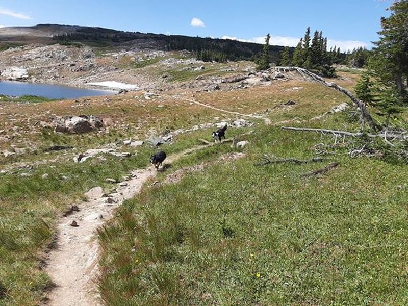 Blue and Mocha on Alpine Lakes Loop