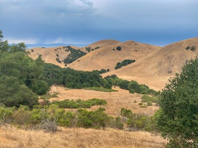 A view accross the valley from the Tree Frog Loop.