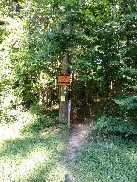 Sign stating, there is 60 miles of trails to Falls Lake Dam.