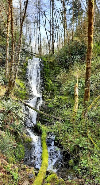 Bridge Creek Falls waterfall in early spring.