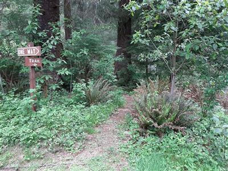 Sign marking the beginning of the Kilchis River Trail.