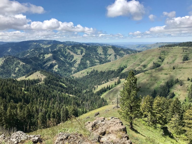 At the viewpoint looking southwest down Lick Creek Canyon and the North Fork Umatilla Wilderness.