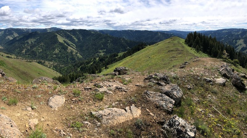 Just below the Zig Zag Spring Trailhead parking looking south.