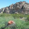 View of  La Cueva rocks and barrel cactus.
