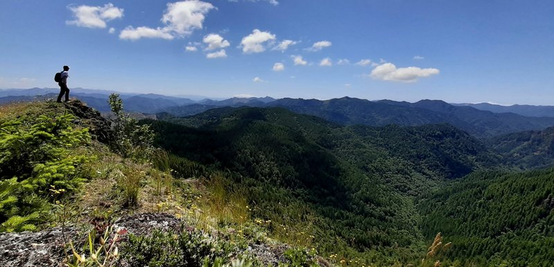 A woman with a backpack stands on the edge of a rocky cliff with a forested mountain range extending off in the distance beyond and in front of her.