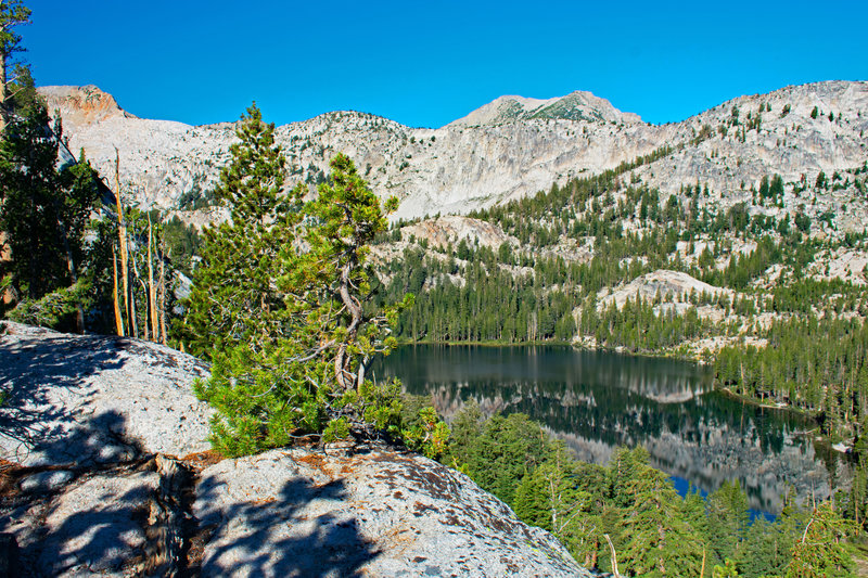 Olive Lake from ridge between it and Peter Pande. It looks so close, but there is a cliff between here and the trees below.