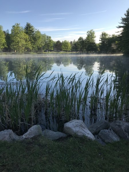 Pond at Hanson Hills.