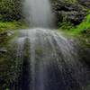 Kilchis Falls, water pouring down in a misty veil almost directly onto the camera, green mossy rocks and ferns all around.