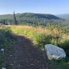 This is on the switchbacks looking down trail.