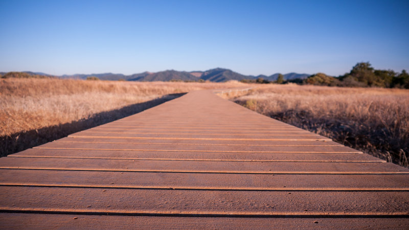 Walking path at top of trail.