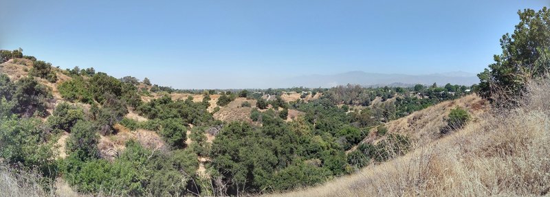 The Mike Antonovich Trail is in the canyons beneath the S. San Dimas Ave. trailhead.