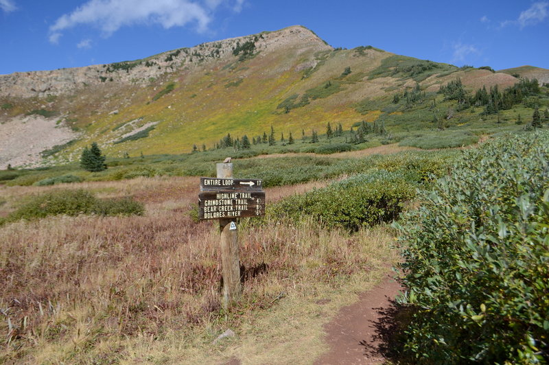 Meeting the loop near Taylor Lake.