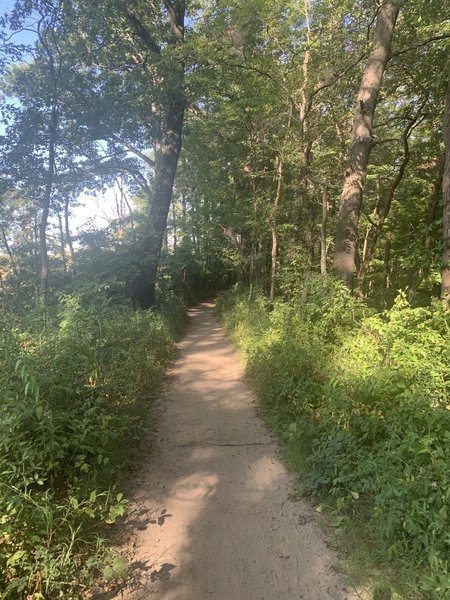 Trail is fairly flat and shaded much of the way to the lake.