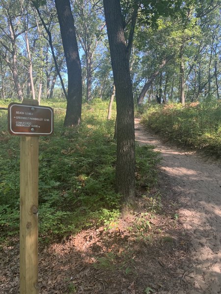 The first uphill portion, loose sand.