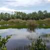 The man-made lake looks like a fun place for swamp critters.