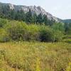 View of outcrop from trail 715.