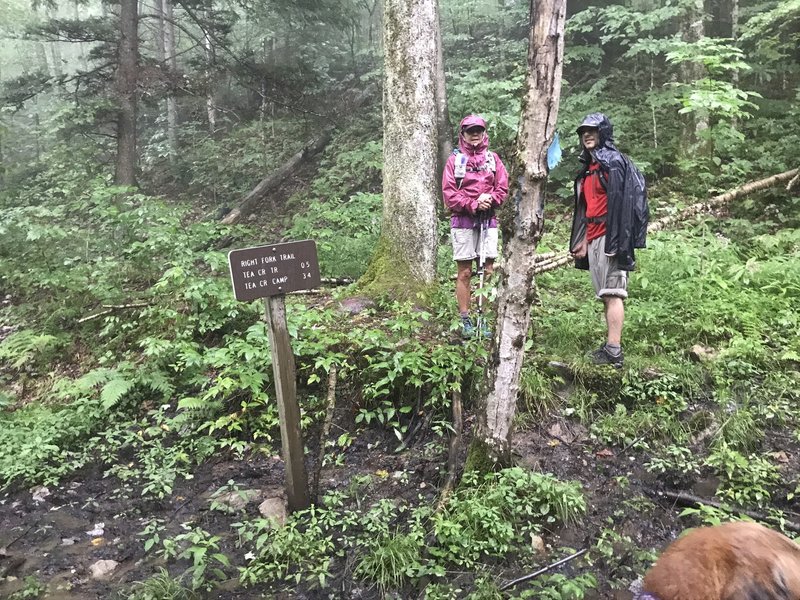 Intersection of North Fork Trail and Right Fork Tea Creek Trail - both use old rail beds