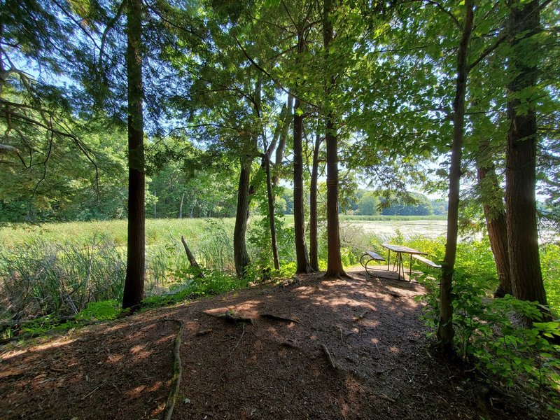 Picnic area on Bay Trail.