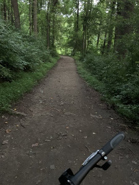 Westside Trail heading toward Needwood Road.