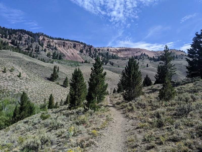 Little Boulder Creek trail about halfway down looking north towards the red cliffs.