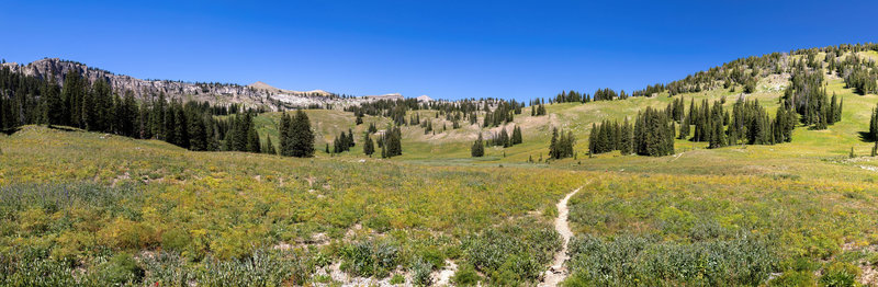 Meadows around Middle Fork Granite Creek.