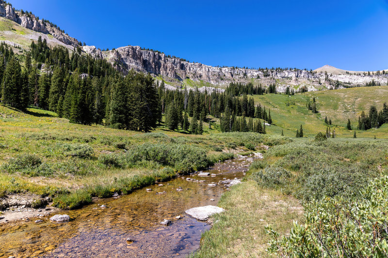 Middle Fork Granite Creek.