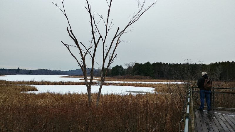 Little Cataraqui Creek in winter