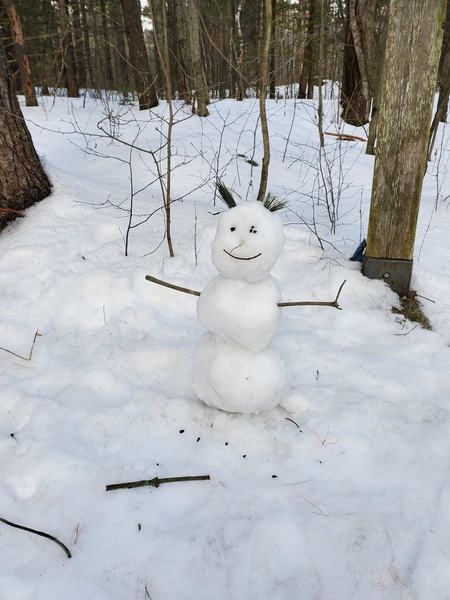 A snowman guarding the fork in the trail.