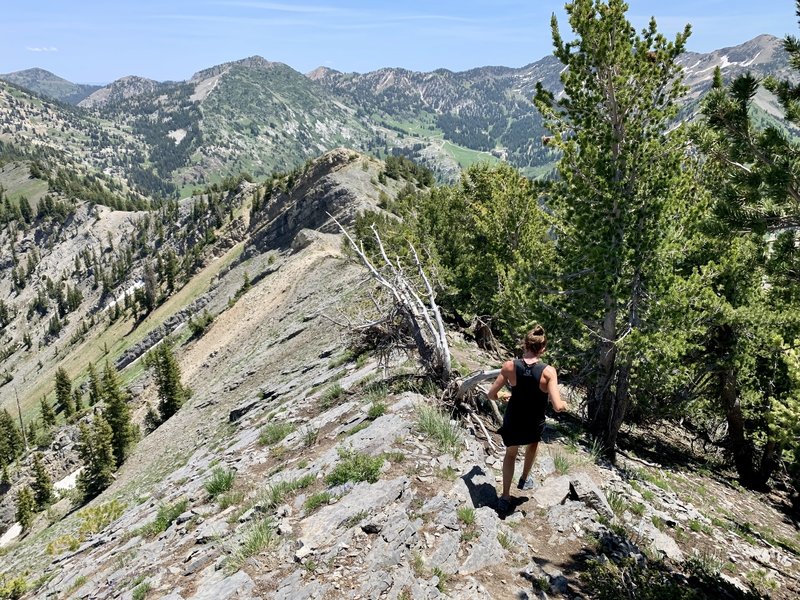 Rolling singletrack toward Honeycomb Cliffs.