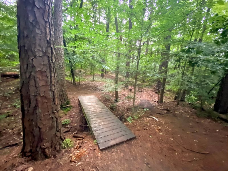 Bridge on the Red Trail.