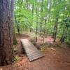 Bridge on the Red Trail.