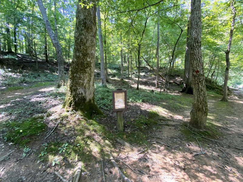 Trail split on the Eno Trace.