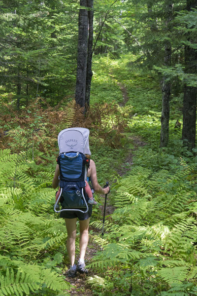 Hiking throughs the woods.