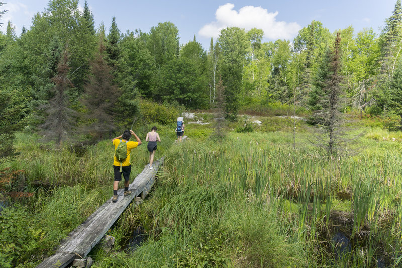 Crossing between ponds.