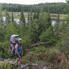 Beaver Pond Overlook