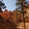 Navajo Loop, early morning.