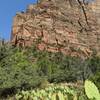 Prickly pear cactus, sweeping views, grateful for patchy shade.