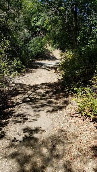 Trailhead near Grand Avenue