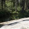 The trail runs next to Crescent Creek for a short distance. You may encounter animals (deer, black bears, etc) drinking from the creek during the morning or later in the evening.