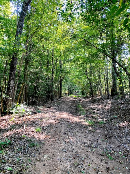 Hilly sections leading down to the river.