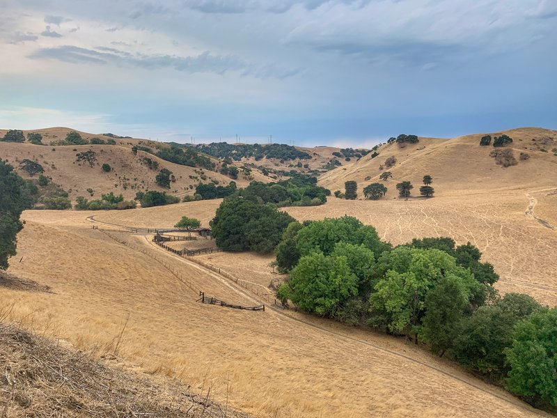 A view of Big Valley from Tree Frog Trail.