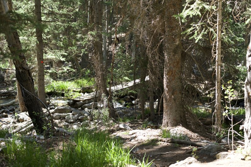 The trail drops down and crossed the creek via a wooden slat bridge.