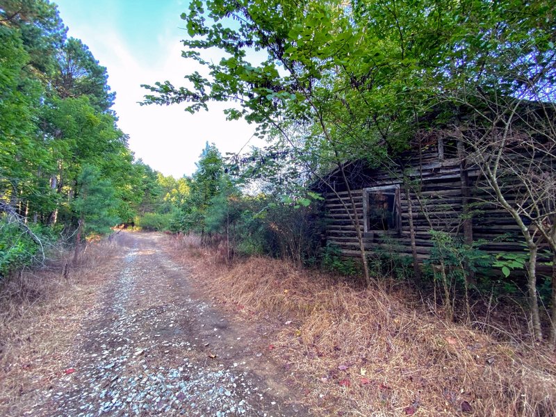 Derelict log cabin off the road