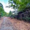 Derelict log cabin off the road