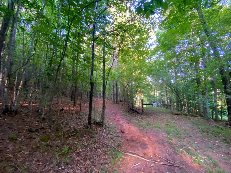 Turn left for the bypass of the old road.