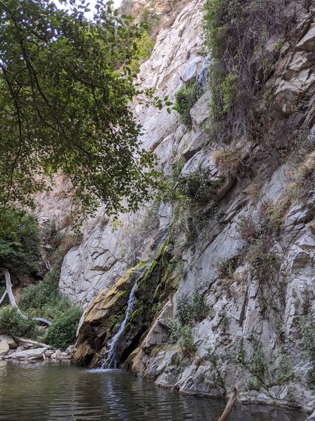 Waterfall just a trickle by late summer (August 2020), but the pool is still nice and cool for your toes.