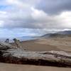 A driftwood log on a long, misty beach.